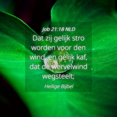 Picture 04 - Job 21:18 NLD - Dat zij gelijk stro worden voor den wind, en - Bible Verse Picture