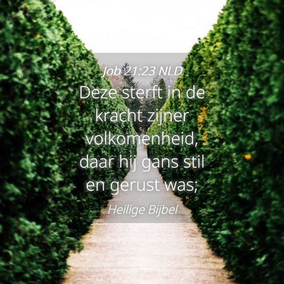 Picture 04 - Job 21:23 NLD - Deze sterft in de kracht zijner volkomenheid, - Bible Verse Picture