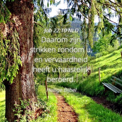 Picture 04 - Job 22:10 NLD - Daarom zijn strikken rondom u, en vervaardheid - Bible Verse Picture