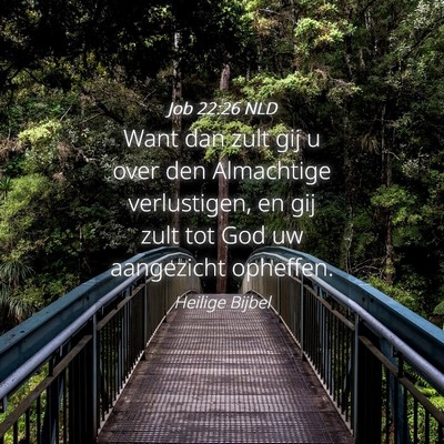 Picture 04 - Job 22:26 NLD - Want dan zult gij u over den Almachtige - Bible Verse Picture