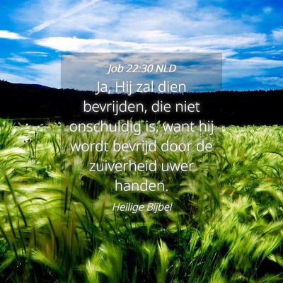 Picture 04 - Job 22:30 NLD - Ja, Hij zal dien bevrijden, die niet onschuldig - Bible Verse Picture