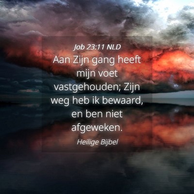 Picture 04 - Job 23:11 NLD - Aan Zijn gang heeft mijn voet vastgehouden; Zijn - Bible Verse Picture