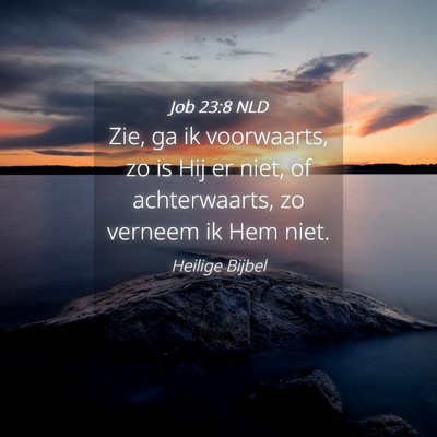 Picture 04 - Job 23:8 NLD - Zie, ga ik voorwaarts, zo is Hij er niet, of - Bible Verse Picture