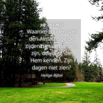 Picture 04 - Job 24:1 NLD - Waarom zouden van den Almachtige de tijden niet - Bible Verse Picture