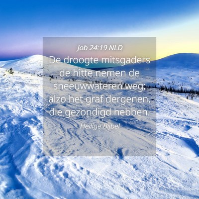 Picture 04 - Job 24:19 NLD - De droogte mitsgaders de hitte nemen de - Bible Verse Picture