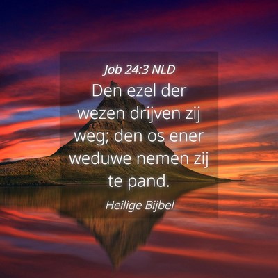 Picture 04 - Job 24:3 NLD - Den ezel der wezen drijven zij weg; den os ener - Bible Verse Picture