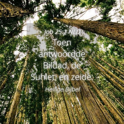 Picture 04 - Job 25:1 NLD - Toen antwoordde Bildad, de Suhiet, en - Bible Verse Picture