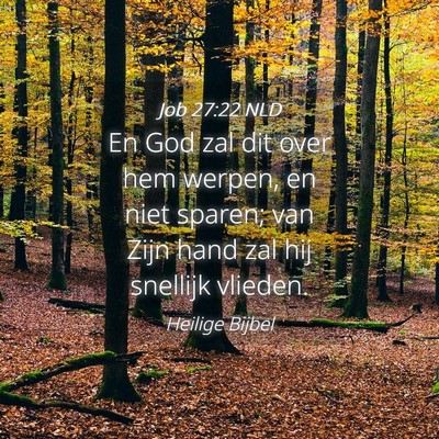 Picture 04 - Job 27:22 NLD - En God zal dit over hem werpen, en niet sparen; - Bible Verse Picture