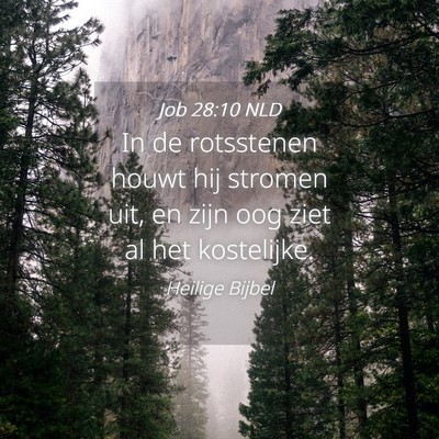 Picture 04 - Job 28:10 NLD - In de rotsstenen houwt hij stromen uit, en zijn - Bible Verse Picture