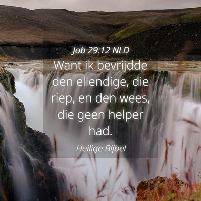 Picture 04 - Job 29:12 NLD - Want ik bevrijdde den ellendige, die riep, en den - Bible Verse Picture