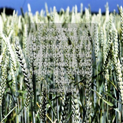 Picture 04 - Job 29:14 NLD - Ik bekleedde mij met gerechtigheid, en zij - Bible Verse Picture