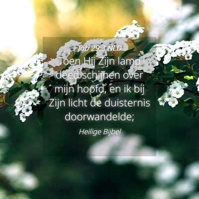 Picture 04 - Job 29:3 NLD - Toen Hij Zijn lamp deed schijnen over mijn hoofd, - Bible Verse Picture