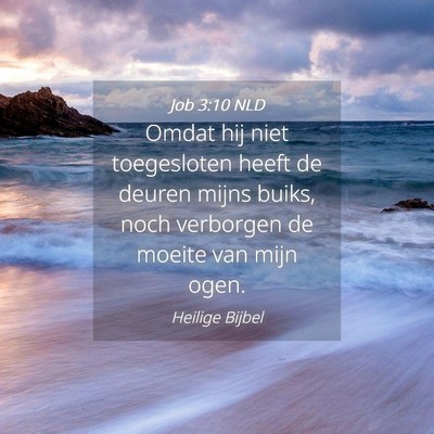 Picture 04 - Job 3:10 NLD - Omdat hij niet toegesloten heeft de deuren mijns - Bible Verse Picture