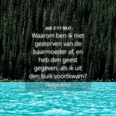 Picture 04 - Job 3:11 NLD - Waarom ben ik niet gestorven van de baarmoeder - Bible Verse Picture