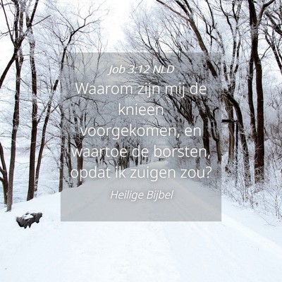 Picture 04 - Job 3:12 NLD - Waarom zijn mij de knieen voorgekomen, en waartoe - Bible Verse Picture