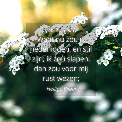 Picture 04 - Job 3:13 NLD - Want nu zou ik nederliggen, en stil zijn; ik zou - Bible Verse Picture