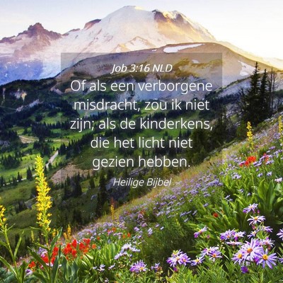 Picture 04 - Job 3:16 NLD - Of als een verborgene misdracht, zou ik niet - Bible Verse Picture