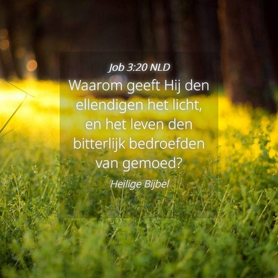 Picture 04 - Job 3:20 NLD - Waarom geeft Hij den ellendigen het licht, en het - Bible Verse Picture