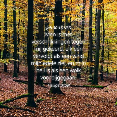 Picture 04 - Job 30:15 NLD - Men is met verschrikkingen tegen mij gekeerd; elk - Bible Verse Picture
