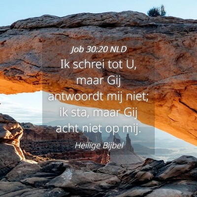 Picture 04 - Job 30:20 NLD - Ik schrei tot U, maar Gij antwoordt mij niet; ik - Bible Verse Picture