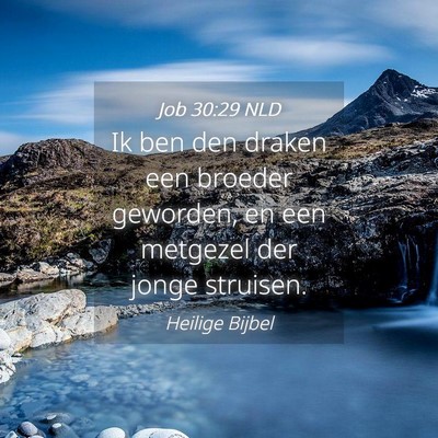 Picture 04 - Job 30:29 NLD - Ik ben den draken een broeder geworden, en een - Bible Verse Picture