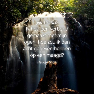 Picture 04 - Job 31:1 NLD - Ik heb een verbond gemaakt met mijn ogen; hoe zou - Bible Verse Picture
