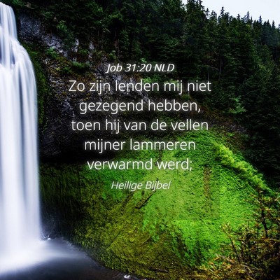 Picture 04 - Job 31:20 NLD - Zo zijn lenden mij niet gezegend hebben, toen hij - Bible Verse Picture