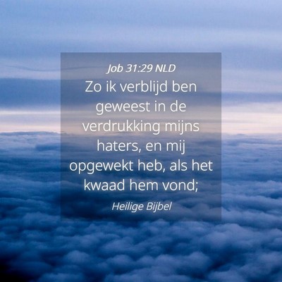 Picture 04 - Job 31:29 NLD - Zo ik verblijd ben geweest in de verdrukking - Bible Verse Picture