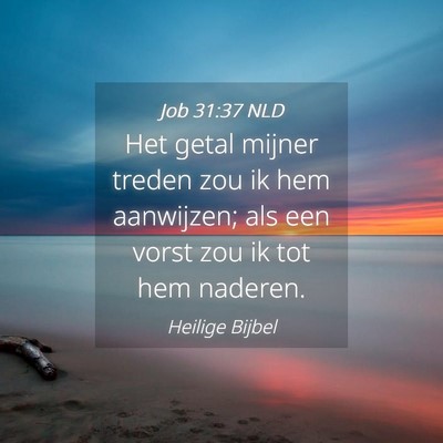 Picture 04 - Job 31:37 NLD - Het getal mijner treden zou ik hem aanwijzen; als - Bible Verse Picture