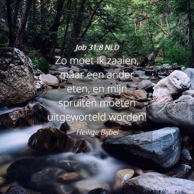 Picture 04 - Job 31:8 NLD - Zo moet ik zaaien, maar een ander eten, en mijn - Bible Verse Picture