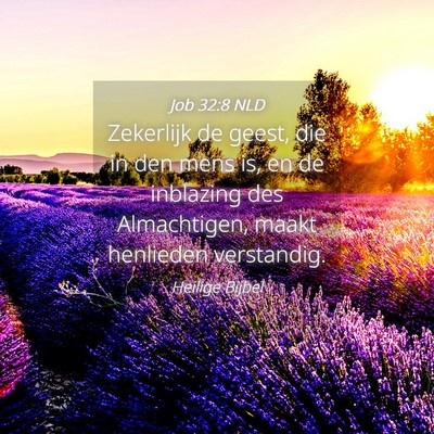 Picture 04 - Job 32:8 NLD - Zekerlijk de geest, die in den mens is, en de - Bible Verse Picture