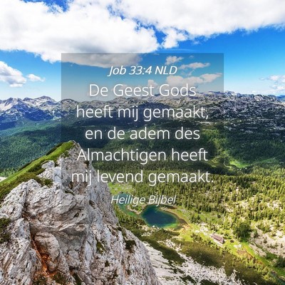 Picture 04 - Job 33:4 NLD - De Geest Gods heeft mij gemaakt, en de adem des - Bible Verse Picture