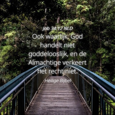 Picture 04 - Job 34:12 NLD - Ook waarlijk, God handelt niet goddelooslijk, en - Bible Verse Picture