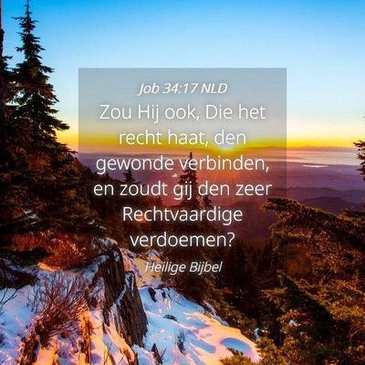 Picture 04 - Job 34:17 NLD - Zou Hij ook, Die het recht haat, den gewonde - Bible Verse Picture