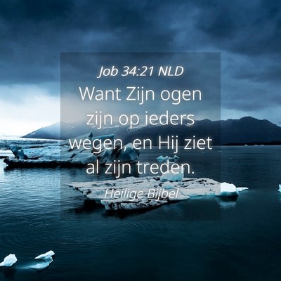Picture 04 - Job 34:21 NLD - Want Zijn ogen zijn op ieders wegen, en Hij ziet - Bible Verse Picture