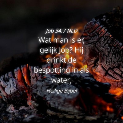 Picture 04 - Job 34:7 NLD - Wat man is er, gelijk Job? Hij drinkt de - Bible Verse Picture