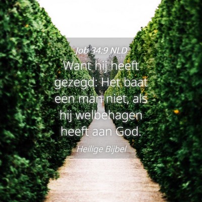 Picture 04 - Job 34:9 NLD - Want hij heeft gezegd: Het baat een man niet, als - Bible Verse Picture
