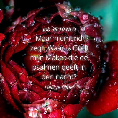 Picture 04 - Job 35:10 NLD - Maar niemand zegt: Waar is God, mijn Maker, die - Bible Verse Picture