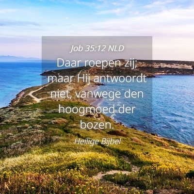 Picture 04 - Job 35:12 NLD - Daar roepen zij; maar Hij antwoordt niet, vanwege - Bible Verse Picture