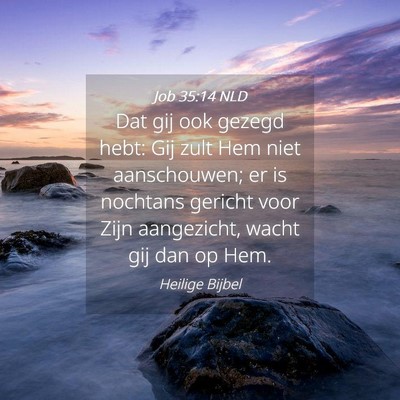 Picture 04 - Job 35:14 NLD - Dat gij ook gezegd hebt: Gij zult Hem niet - Bible Verse Picture