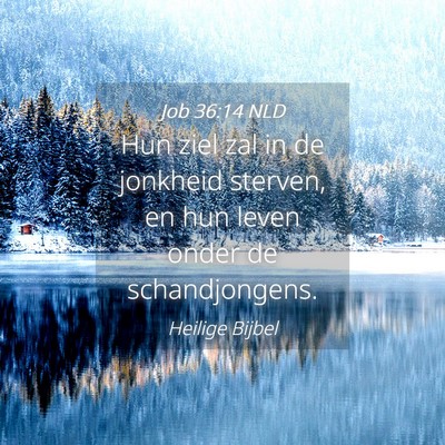 Picture 04 - Job 36:14 NLD - Hun ziel zal in de jonkheid sterven, en hun leven - Bible Verse Picture