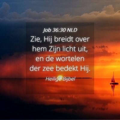 Picture 04 - Job 36:30 NLD - Zie, Hij breidt over hem Zijn licht uit, en de - Bible Verse Picture
