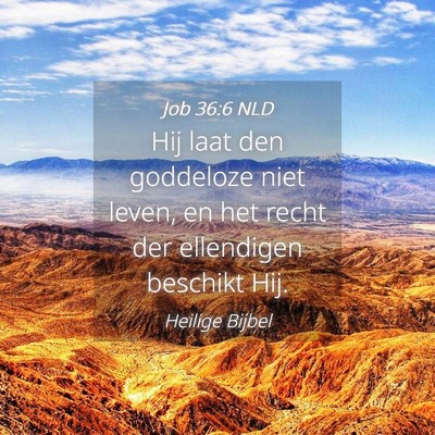 Picture 04 - Job 36:6 NLD - Hij laat den goddeloze niet leven, en het recht - Bible Verse Picture