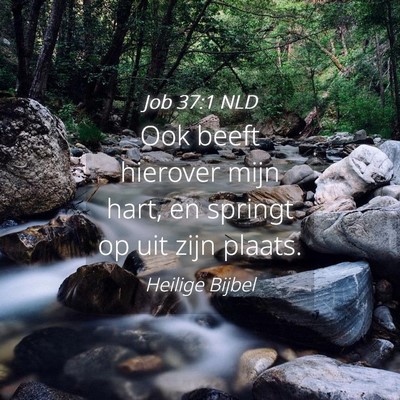 Picture 04 - Job 37:1 NLD - Ook beeft hierover mijn hart, en springt op uit - Bible Verse Picture