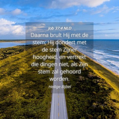 Picture 04 - Job 37:4 NLD - Daarna brult Hij met de stem; Hij dondert met de - Bible Verse Picture