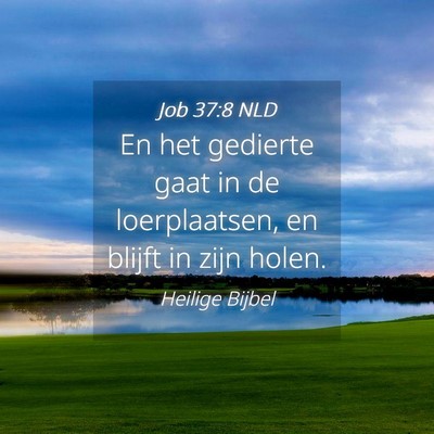 Picture 04 - Job 37:8 NLD - En het gedierte gaat in de loerplaatsen, en - Bible Verse Picture