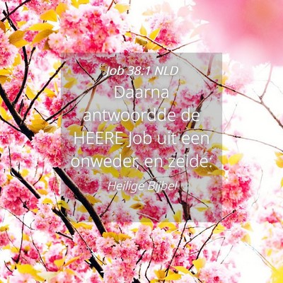 Picture 04 - Job 38:1 NLD - Daarna antwoordde de HEERE Job uit een onweder, - Bible Verse Picture
