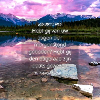 Picture 04 - Job 38:12 NLD - Hebt gij van uw dagen den morgenstond geboden? - Bible Verse Picture