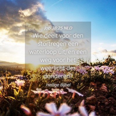Picture 04 - Job 38:25 NLD - Wie deelt voor den stortregen een waterloop uit, - Bible Verse Picture