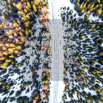 Picture 04 - Job 38:29 NLD - Uit wiens buik komt het ijs voort, en wie baart - Bible Verse Picture